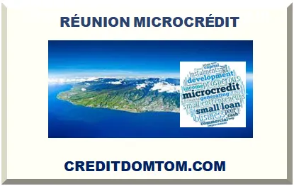 ÎLE DE LA RÉUNION MICRO-CRÉDIT